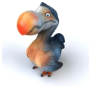 dodosinka