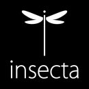 Insecta