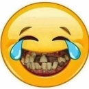 fixsoed