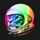 Rasta-kot