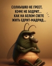 russof74