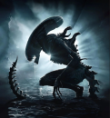 XENOMORPH
