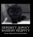 aleksandr_z