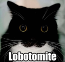 Lobotomite