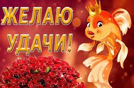 Прикреплённая картинка