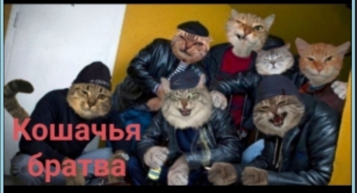 Прикреплённая картинка